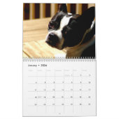 Calendrier de terriers de Boston (Jan 2026)