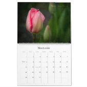 Calendrier de Theatrum Botanicum 2009 (Mar 2026)