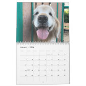 Calendrier de Tiberius 2021 pour les trieurs d'or (Jan 2026)