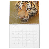 Calendrier de tigres (Mar 2026)