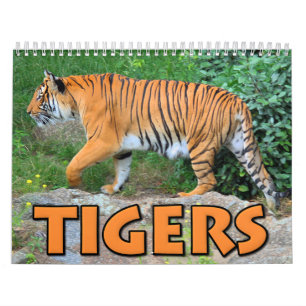 Calendrier de tigres