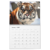 Calendrier de tigres (Jan 2027)