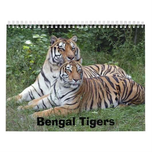 Calendrier de tigres de Bengale, tigres de Bengale (Protection)