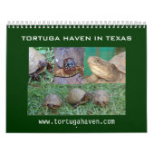 Calendrier de tortue de boîte du Texas (Protection)