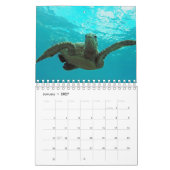 Calendrier de tortues d'Hawaï (Jan 2027)