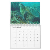 Calendrier de tortues d'Hawaï (Feb 2027)