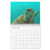 Calendrier de tortues d'Hawaï (Mar 2027)