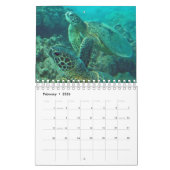 Calendrier de tortues d'Hawaï (Feb 2026)