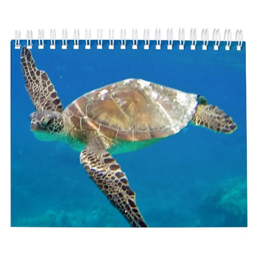 Calendrier de tortues d'Hawaï (Protection)