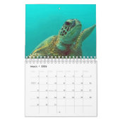 Calendrier de tortues d'Hawaï (Mar 2026)