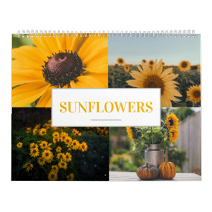 Calendrier de tournesol Accueil Mur agricole