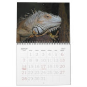 Calendrier de Tulazoo (Mar 2027)