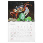 Calendrier de Tulazoo (Feb 2027)