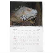 Calendrier de Tulazoo (Mar 2026)