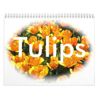 Calendrier de tulipe