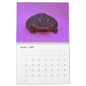 Calendrier de Two Green Frogs' 2026 (Jan 2027)