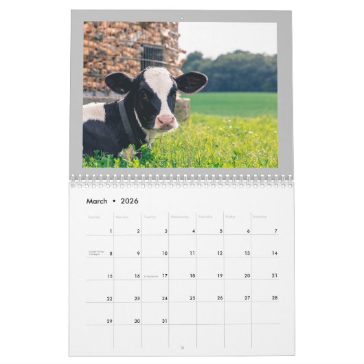 Calendrier de vache entièrement mignon (Mar 2026)