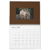 Calendrier de vache entièrement mignon (Jan 2026)