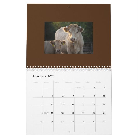 Calendrier de vache entièrement mignon (Jan 2026)
