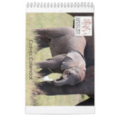 Calendrier de veaux (Protection)