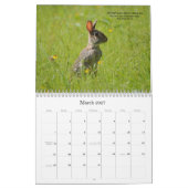 Calendrier de versets bibliques de photographie de (Mar 2027)