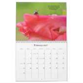 Calendrier de versets bibliques de photographie de (Feb 2027)