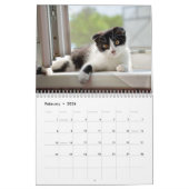 Calendrier de vie de chat (Feb 2026)