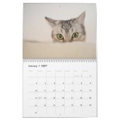 Calendrier de vie de chat (Jan 2027)