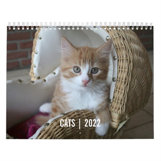 Calendrier de vie de chat (Protection)