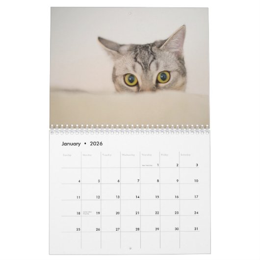 Calendrier de vie de chat (Jan 2026)