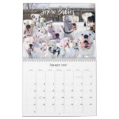 Calendrier de vie des chiens de boxe de 12 mois (Jan 2027)