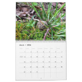 Calendrier de vie du pays (Mar 2026)