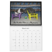 Calendrier de vie d'un chat (Mar 2027)