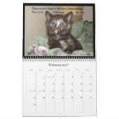 Calendrier de vie d'un chat (Feb 2027)