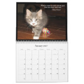 Calendrier de vie d'un chat (Jan 2027)