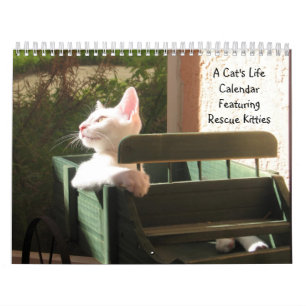 Calendrier de vie d'un chat