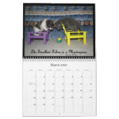 Calendrier de vie d'un chat (Mar 2026)