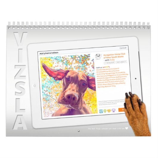 Calendrier de Vizsla Selfie (Protection)
