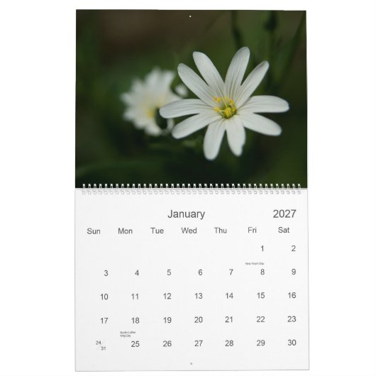 Calendrier de Wildfowers 2009 d'Européen (Jan 2027)
