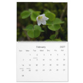 Calendrier de Wildfowers 2009 d'Européen (Feb 2027)