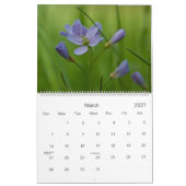 Calendrier de Wildfowers 2009 d'Européen (Mar 2027)