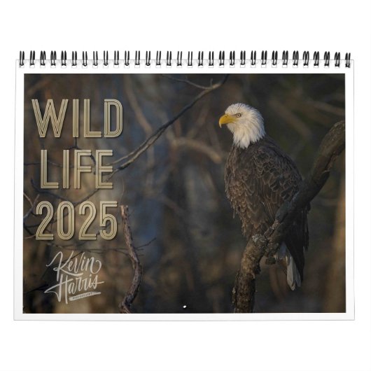 Calendrier de Wildlife 2025 par Kevin Harris (Protection)