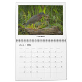 Calendrier de Wildlife 2025 par Kevin Harris (Mar 2026)