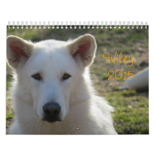 Calendrier de Wiley 2015