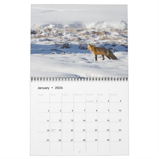 Calendrier de Yellowstone (Jan 2026)