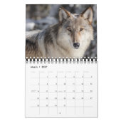 Calendrier de Yellowstone de petite taille - Calen (Mar 2027)
