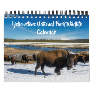 Calendrier de Yellowstone de petite taille - Calen