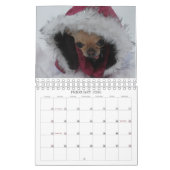 Calendrier de YumYum 2014 (Feb 2026)