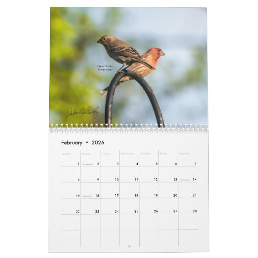 Calendrier DeborahGraphix 2025 (Feb 2026)