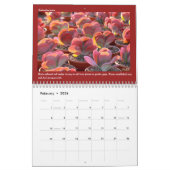 Calendrier Debra Lee Baldwin (Feb 2026)